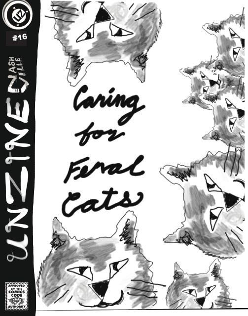 caring for feral&nbsp;cats